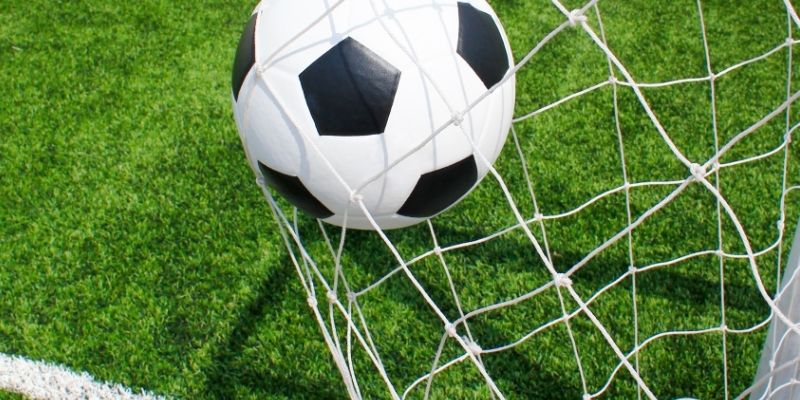 Hướng dẫn cách hiệu bảng tỷ lệ